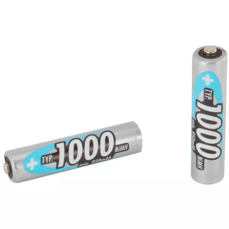 Batteria domestica AAA Ansmann 5030882
