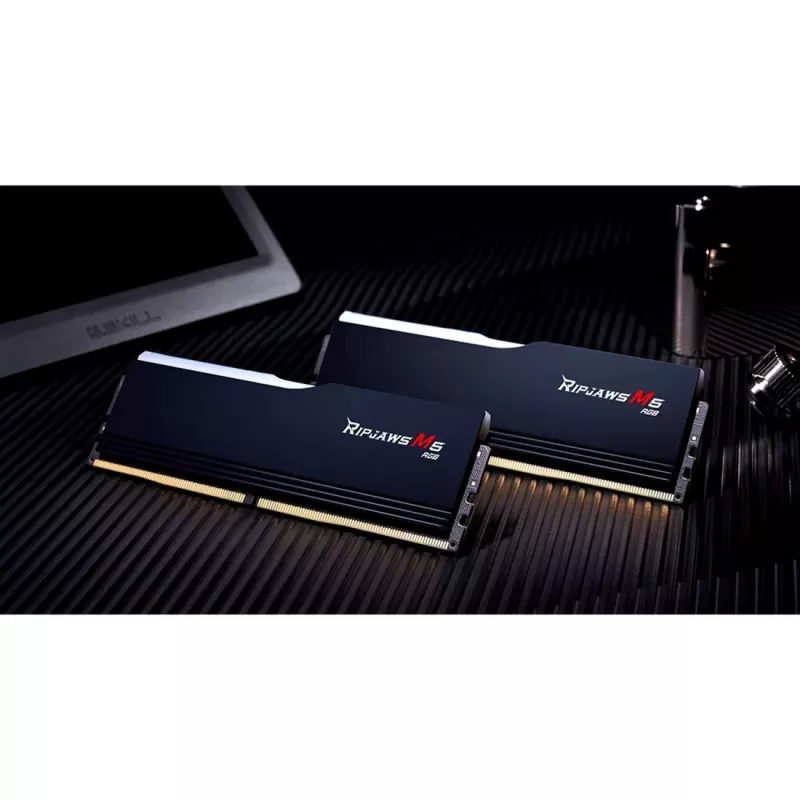 Memoria DDR5 G.Skill 96GB PC5600 CL40