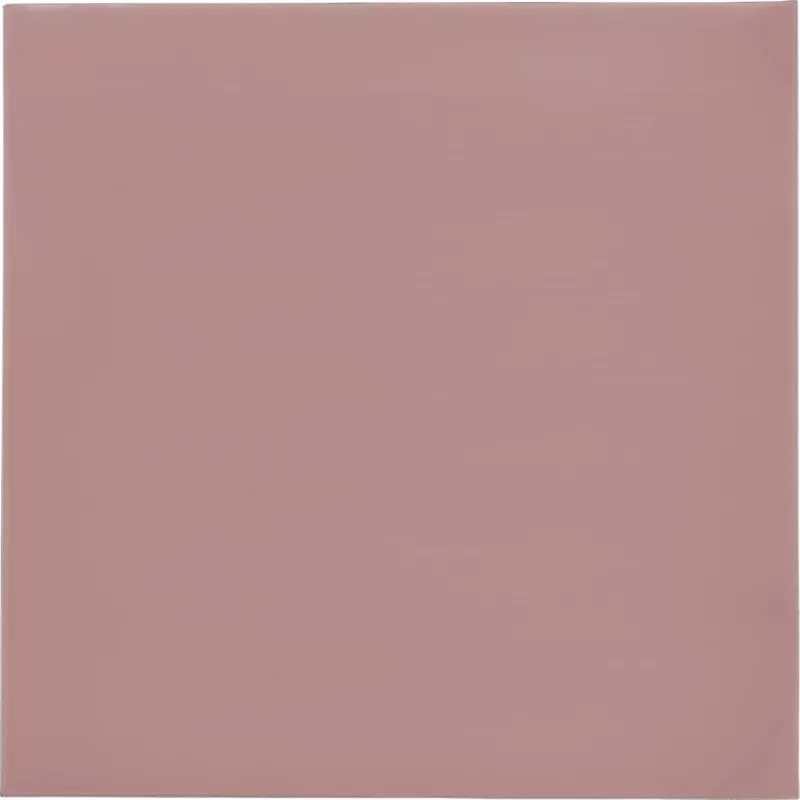 Thermal Grizzly Minus Pad 8 - 100 x 100 x 1,0 mm, 2 pezzi