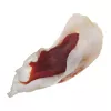 PETITTO Orecchio di coniglio ripieno di anatra snack per cani, 500 g