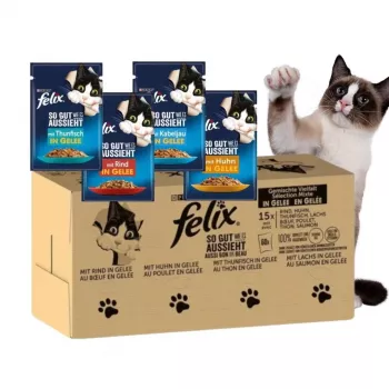 Purina Felix MIX cibo umido per gatti, 120 x 85 g