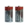 AgfaPhoto 110-802626 Batteria alcalina non ricaricabile 1,5 V (110802626)