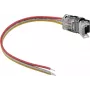 Connettore di alimentazione per striscia LED EUROLITE 50530066, 3 poli, per strisce LED da 10 mm