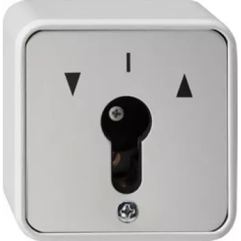 GIRA 014430 interruttore luce grigio (014430)