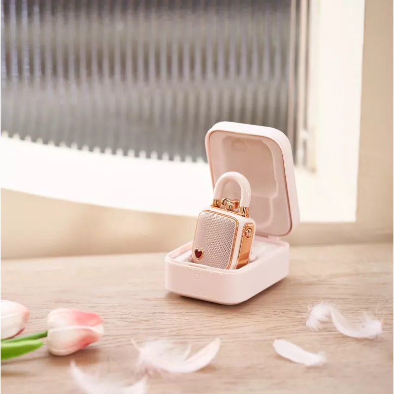 Altoparlante mono portatile Divoom LoveLock rosa