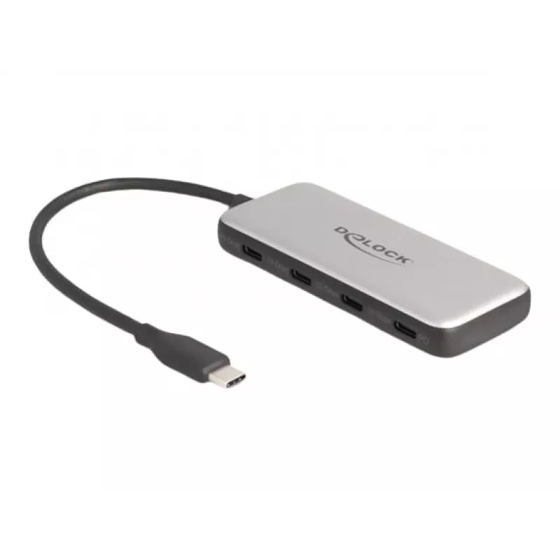 DeLOCK 64261 hub USB 3.2 Gen 1 Type-C 10000 Mbit/s nero grigio