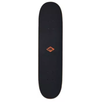 Skateboard Schildkröt Funsports Kicker 31 (classic) acero multicolore
