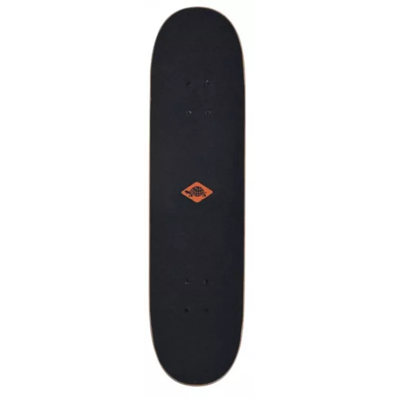 Skateboard Schildkröt Funsports Kicker 31 (classic) acero multicolore