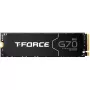 Team Group T-FORCE G70 Pro 2 TB PCIe 4.0 x4 | M.2 2280 | dissipatore in grafene
