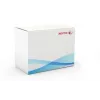 Xerox Transfer Roller, WorkCentre 7525/7530/7535/7545/7556, 1 pz.