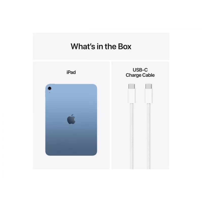 Tablet Apple iPad 256 GB 11