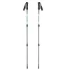 Bastoncini da trekking per adulti VIKING Kivi 2.0 trekking verde UNI
