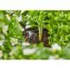 Gardena 13312-20 prodotto 2 L nero