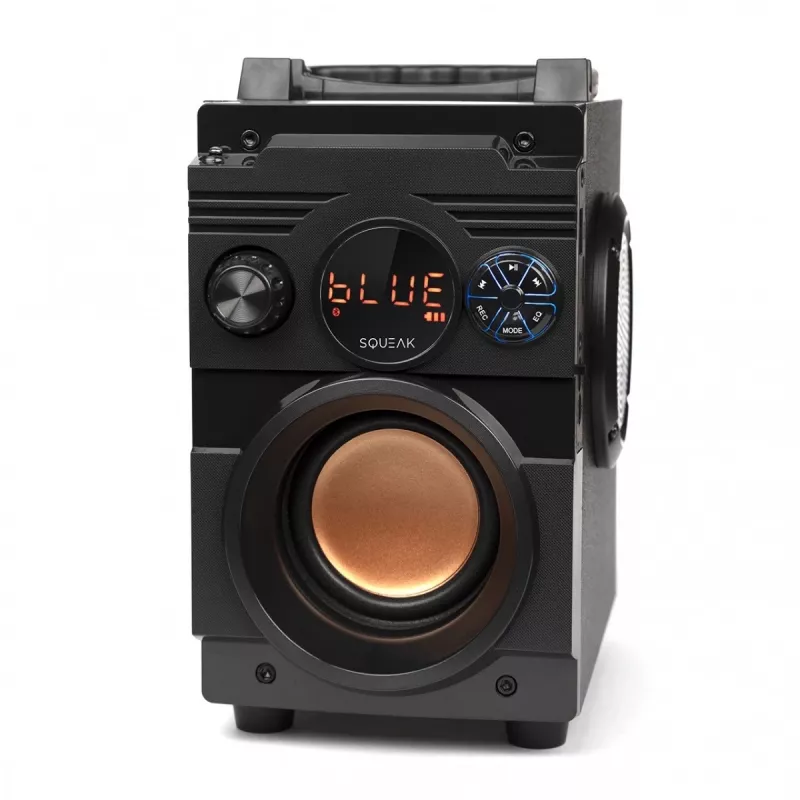 Squeak Bassblaster altoparlante Bluetooth 5.1, radio FM, lettore MP3 SQ1001