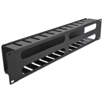 DeLOCK - Pannello di gestione cavi per armadio elettrico - nero - 2U - 48,3 cm (19) (66553)