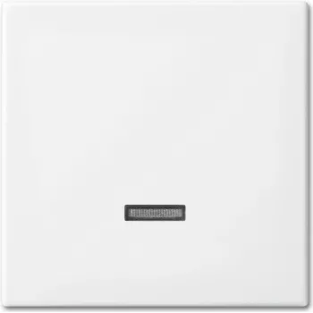 Busch-Jaeger 6543-914-102 piastra di copertura per supporto e scatola sensore bianco (2CKA006599A3018)