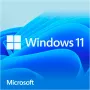 Windows 11 Home, software di sistema 64-bit, tedesco, unità flash USB