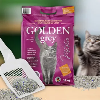 GOLDEN grigio Master - lettiera alla bentonite - 7 kg