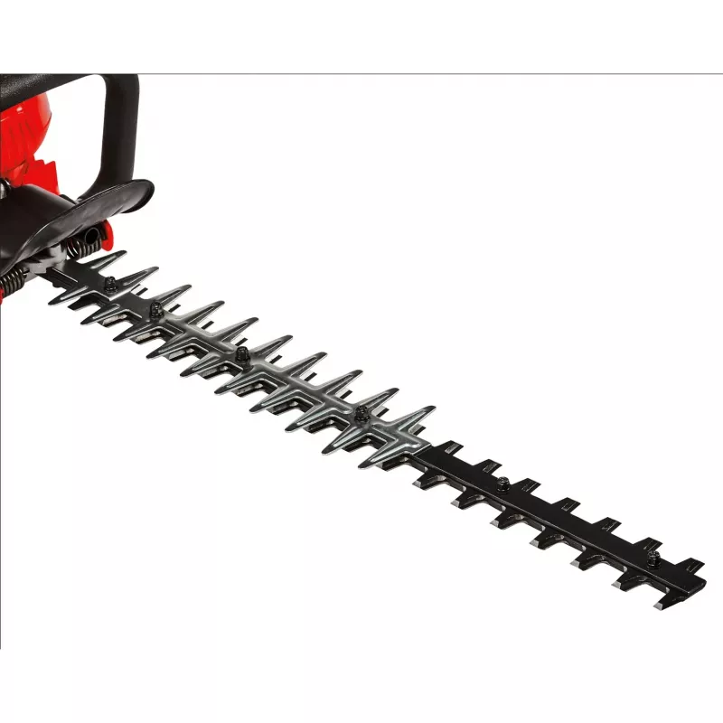 Einhell GE-PH 2555 A doppia lama 850 W 5,45 kg