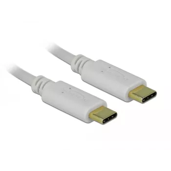 Delock - cavo USB-C/alimentazione - connettore maschio USB-C 24 pin a connettore maschio USB-C 24 pin - 5 A - 15 cm - USB Power Delivery (100 W), supporta Power Delivery 2.0 - bianco (85357)