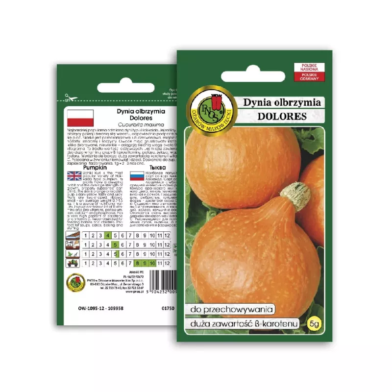 PNOS zucca gigante Dolores semi di ortaggi, 5 g