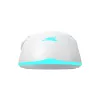 Mouse Baracuda BGM-122 Turtle bianco TURTLE-W