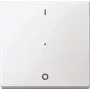 Merten MEG5211-0319 Interruttore elettrico bianco (MEG5211-0319)