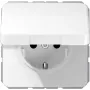 JUNG CD 1520 BF KI KL WW presa SCHUKO con coperchio a cerniera, 16 A 250 V, bianco alpino