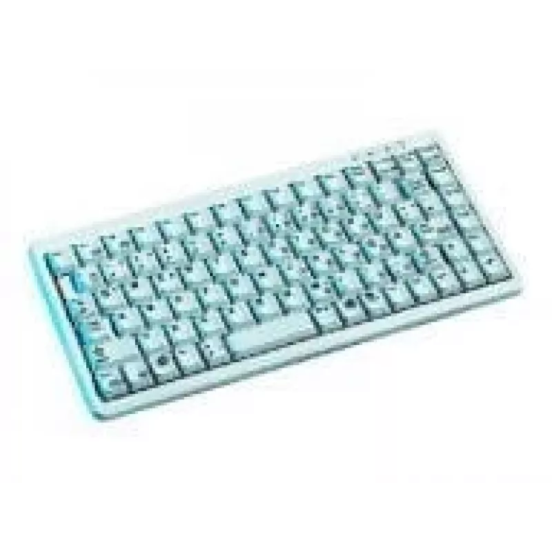 Tastiera CHERRY Compact G84-4100, grigio chiaro, CH USB + PS/2
