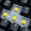 Sharkoon SKILLER SGK50 S3 tastiera da gaming USB QWERTZ tedesco nero