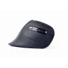 Gembird MUSW-ERGO-03 Mouse per uso domestico per destrorsi RF Wireless Ottico 1600 DPI