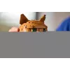 LEGO IDEAS 21376 Gatto arancione