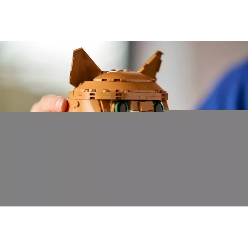 LEGO IDEAS 21376 Gatto arancione