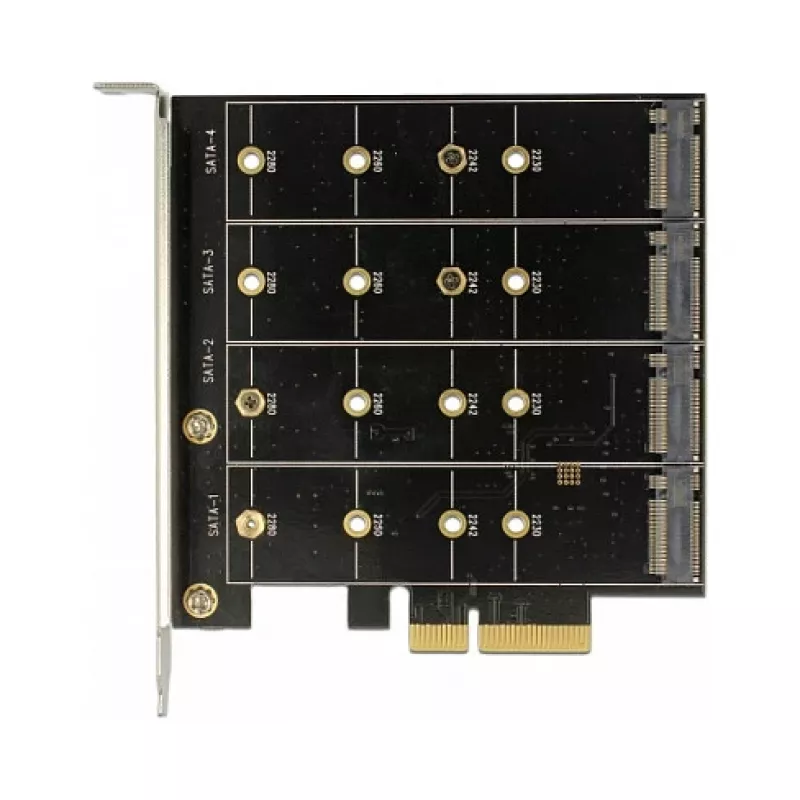 Scheda di interfaccia DeLOCK 89888