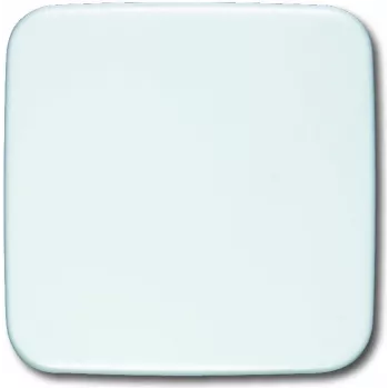 Busch Jaeger 1576 C-214 bianco (1582-0-0354)