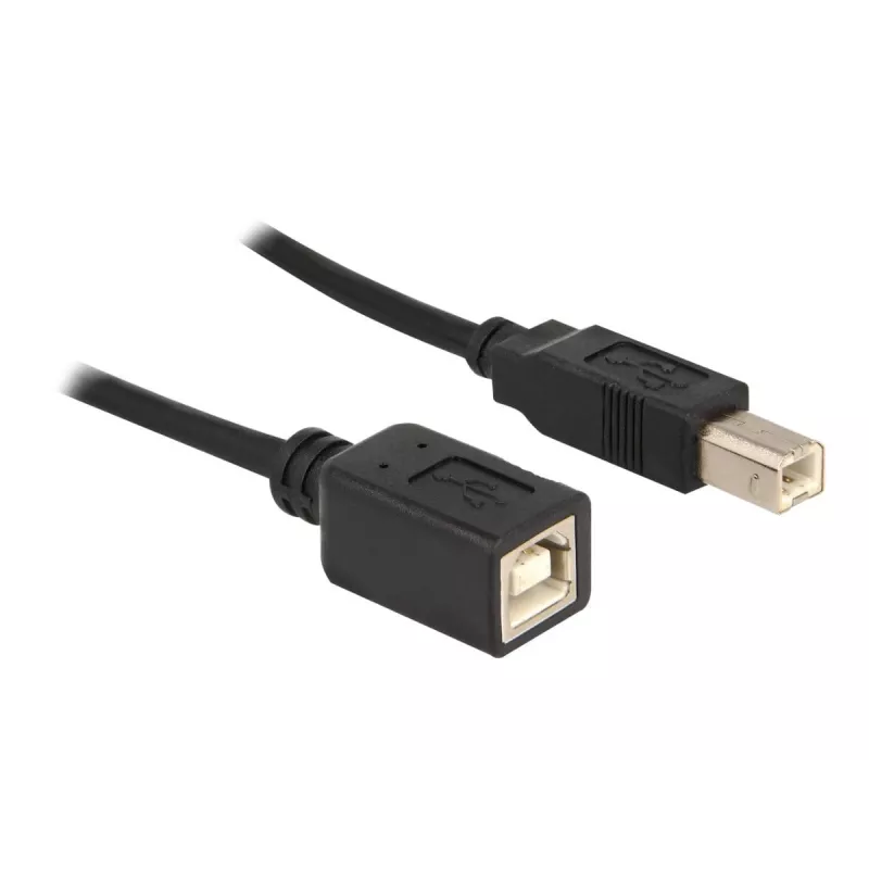 Cavo USB DeLOCK USB2.0-B 2 m USB B nero