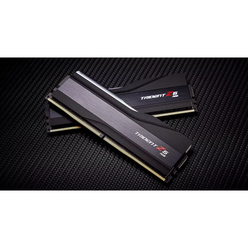 G.skill F5-6400J3239F24GX2-TZ5RK modulo di memoria