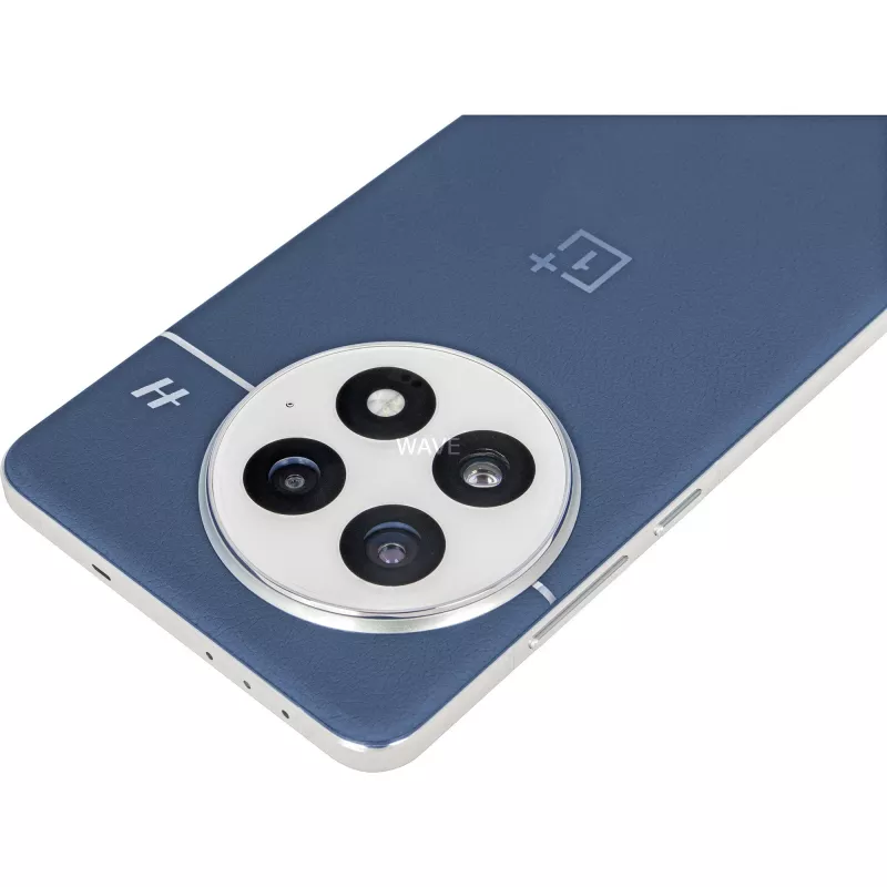 OnePlus 13 17,3 cm (6,82