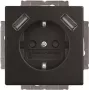BJ 20 EUCB2USB-885 presa SCHUKO/2x USB (2CKA002011A6279)