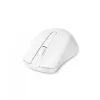 Mouse DICOTA D31659W RF Wireless USB Type-C