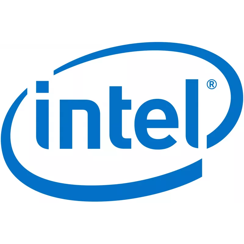 Intel Remote Management Module 4 Lite 2 - adattatore di gestione remota (AXXRMM4LITE2)