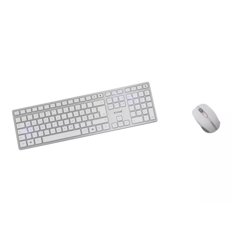 CHERRY DW 9100 tastiera mouse inclusi universale RF wireless + Bluetooth ceco, slovacco argento