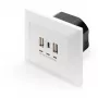 DIGITUS DA-70618 - uscita USB - USB, USB Type C - 2 porte USB, 1 connettore femmina USB-C - 3,1 A - RAL 9003, bianco segnale