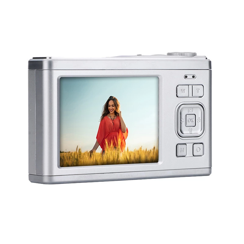 Fotocamera compatta AgfaPhoto Realishot DC9200 24 MP CMOS argento (DC23 SILVER)