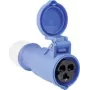 Connettore femmina CEE AS Schwabe 60592 16 A 230 V, connettore industriale