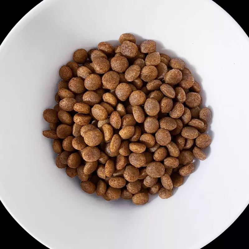 VET RESPONSE Ipoallergenico - crocchette per cani - 8 kg