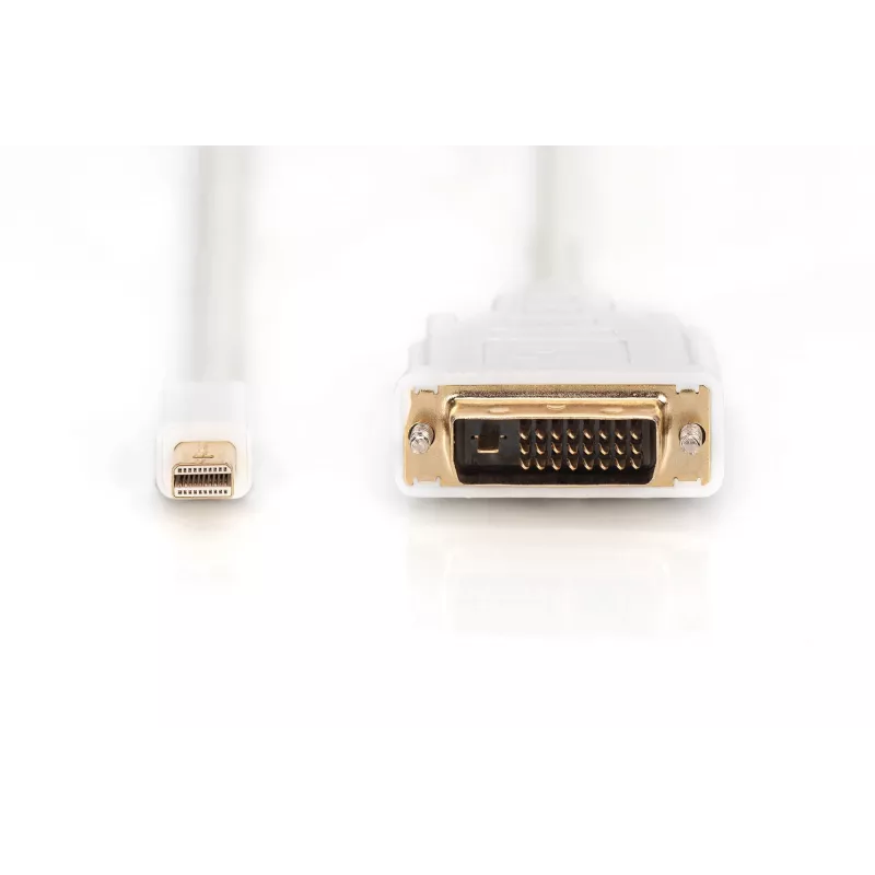 Cavo DisplayPort 1.1a Mini DP-DVI Type-A MM 2,0 m