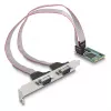Scheda Mini PCIe DeLOCK Full-Size a 2 x seriale RS-232 D-Sub 9 poli