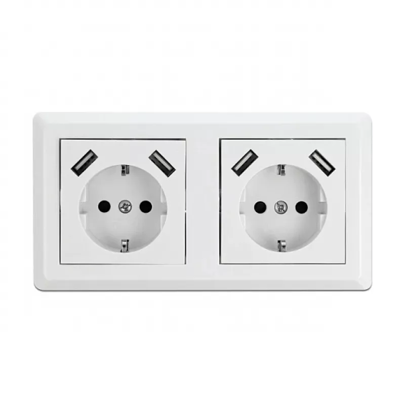 Presa a muro DeLOCK 2 vie con 4 porte USB 2 x 2,8 A
