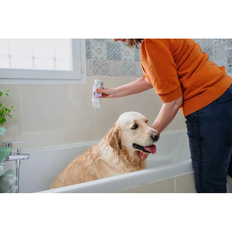 Shampoo VIRBAC Allerderm Normal 250 ml – delicata cura della pelle per cani e gatti